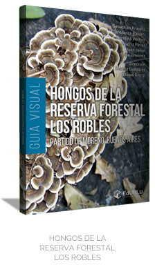 Hongos de la reserva forestal Los Robles